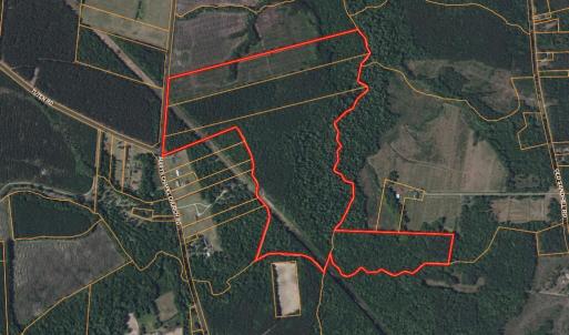 Photo #4 of Nc 33 Off, Aurora, NC 115.0 acres