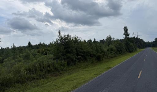 Photo #9 of Nc 33 Off, Aurora, NC 115.0 acres