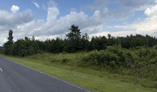 Photo #13 of Nc 33 Off, Aurora, NC 115.0 acres