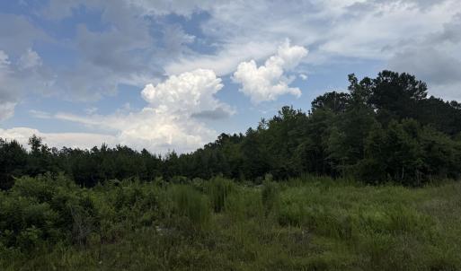 Photo #12 of Nc 33 Off, Aurora, NC 115.0 acres