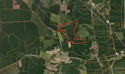Photo #18 of Nc 33 Off, Aurora, NC 115.0 acres