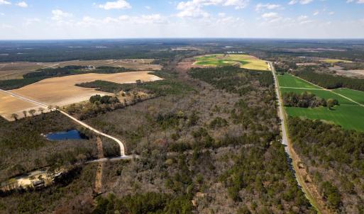 Photo #10 of Devane Farm, Harrells, NC 203.4 acres