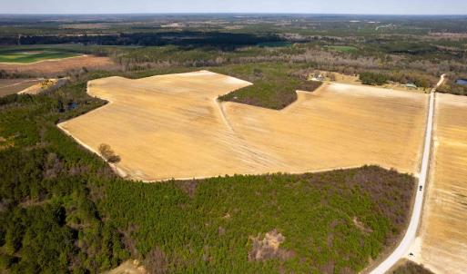 Photo #18 of Devane Farm, Harrells, NC 203.4 acres