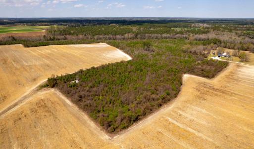 Photo #25 of Devane Farm, Harrells, NC 203.4 acres