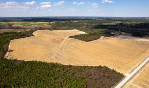 Photo #23 of Devane Farm, Harrells, NC 203.4 acres