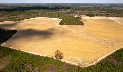 Photo #19 of Devane Farm, Harrells, NC 203.4 acres