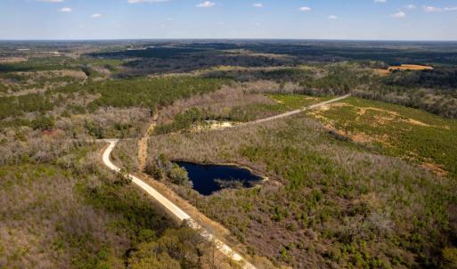 Photo #27 of Devane Farm, Harrells, NC 203.4 acres