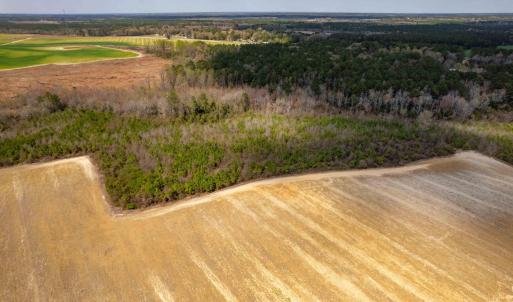 Photo #7 of Devane Farm, Harrells, NC 203.4 acres