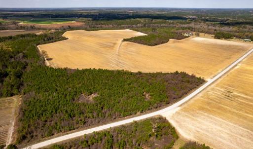 Photo #17 of Devane Farm, Harrells, NC 203.4 acres