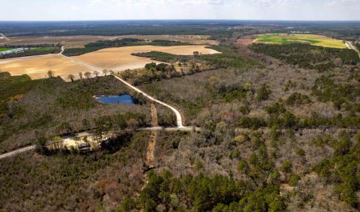 Photo #11 of Devane Farm, Harrells, NC 203.4 acres