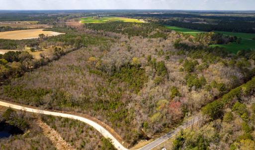 Photo #32 of Devane Farm, Harrells, NC 203.4 acres