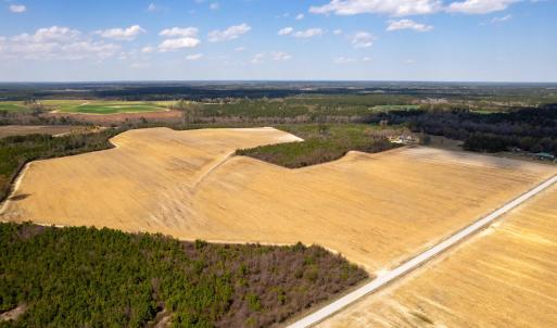 Photo #24 of Devane Farm, Harrells, NC 203.4 acres