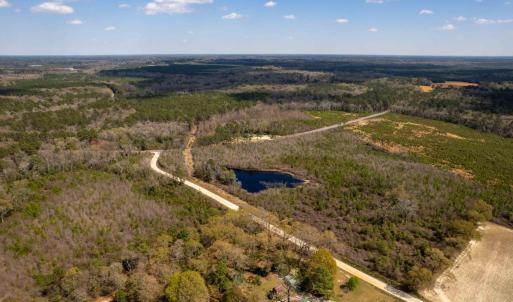 Photo #26 of Devane Farm, Harrells, NC 203.4 acres