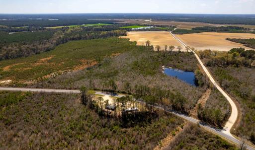 Photo #12 of Devane Farm, Harrells, NC 203.4 acres
