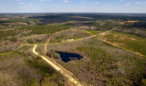Photo #3 of Devane Farm, Harrells, NC 203.4 acres