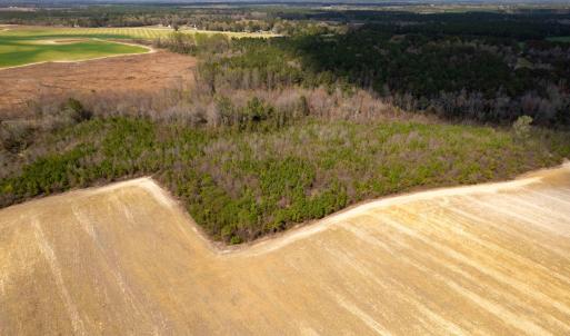 Photo #8 of Devane Farm, Harrells, NC 203.4 acres