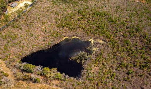 Photo #28 of Devane Farm, Harrells, NC 203.4 acres