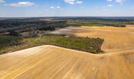 Photo #5 of Devane Farm, Harrells, NC 203.4 acres