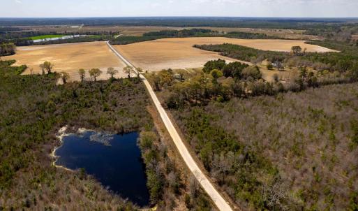 Photo #14 of Devane Farm, Harrells, NC 203.4 acres
