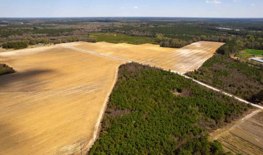 Photo #20 of Devane Farm, Harrells, NC 203.4 acres