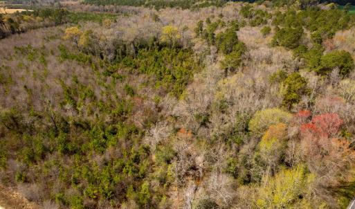 Photo #33 of Devane Farm, Harrells, NC 203.4 acres