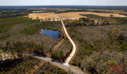 Photo #13 of Devane Farm, Harrells, NC 203.4 acres