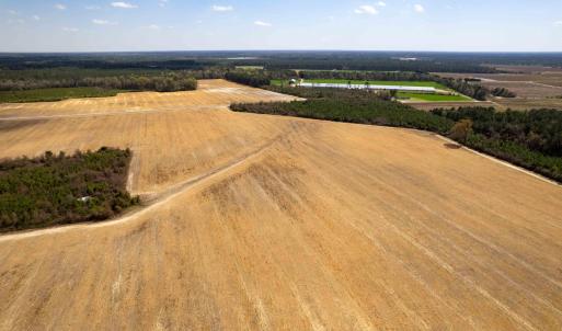 Photo #4 of Devane Farm, Harrells, NC 203.4 acres