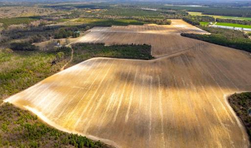 Photo #22 of Devane Farm, Harrells, NC 203.4 acres