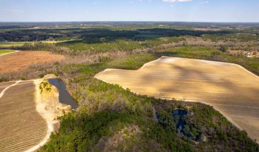 Photo #21 of Devane Farm, Harrells, NC 203.4 acres