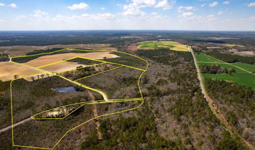 Photo #2 of Devane Farm, Harrells, NC 203.4 acres