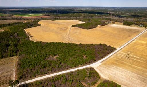 Photo #16 of Devane Farm, Harrells, NC 203.4 acres