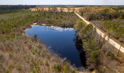 Photo #35 of Devane Farm, Harrells, NC 203.4 acres