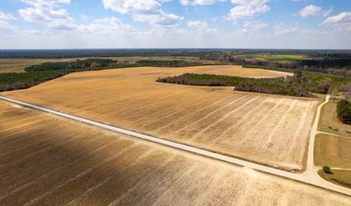 Photo #6 of Devane Farm, Harrells, NC 203.4 acres
