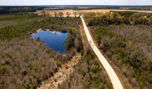 Photo #34 of Devane Farm, Harrells, NC 203.4 acres