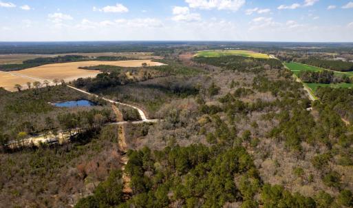 Photo #9 of Devane Farm, Harrells, NC 203.4 acres