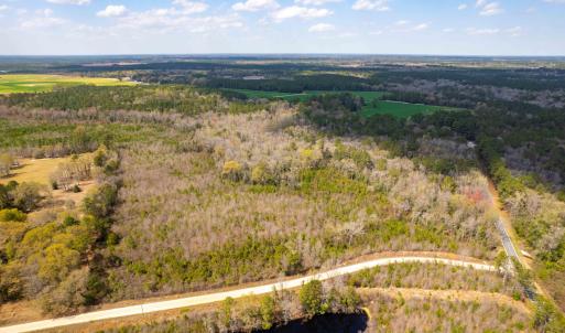 Photo #31 of Devane Farm, Harrells, NC 203.4 acres