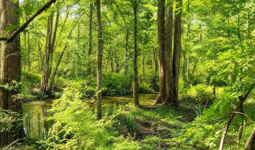 Photo #6 of 1209 Brices Creek, New Bern, NC 1.8 acres