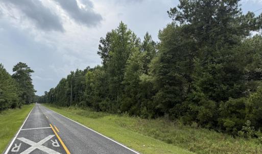 Photo #19 of Old Sandhill, Edward, NC 153.0 acres