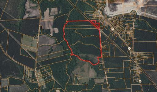 Photo #21 of Old Sandhill, Edward, NC 153.0 acres