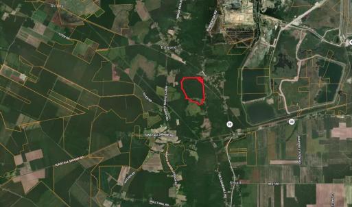 Photo #22 of Old Sandhill, Edward, NC 153.0 acres