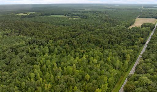 Photo #2 of Old Sandhill, Edward, NC 153.0 acres