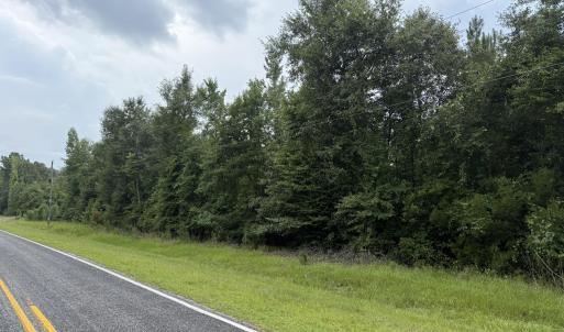 Photo #7 of Old Sandhill, Edward, NC 153.0 acres