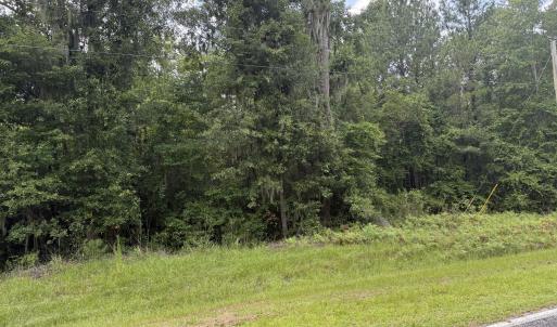 Photo #8 of Old Sandhill, Edward, NC 153.0 acres