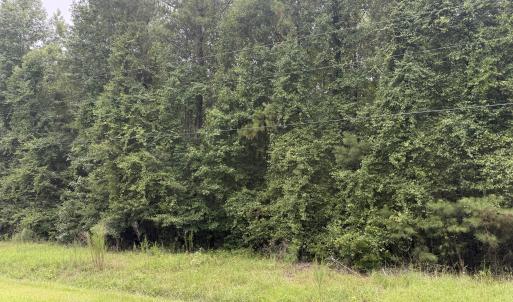 Photo #12 of Old Sandhill, Edward, NC 153.0 acres