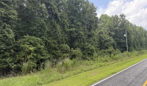Photo #13 of Old Sandhill, Edward, NC 153.0 acres