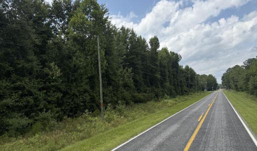 Photo #15 of Old Sandhill, Edward, NC 153.0 acres