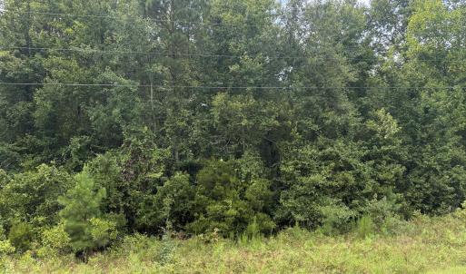 Photo #16 of Old Sandhill, Edward, NC 153.0 acres