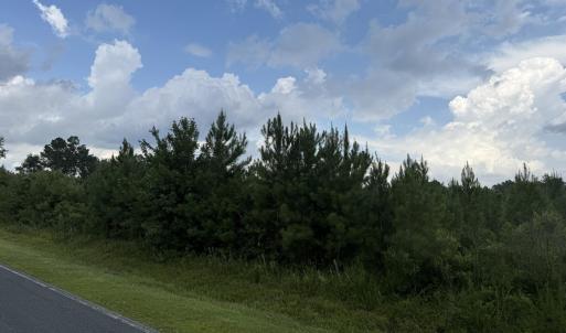 Photo #6 of Old Sandhill, Edward, NC 153.0 acres