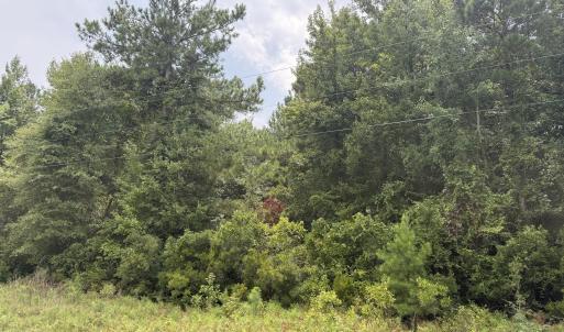 Photo #17 of Old Sandhill, Edward, NC 153.0 acres