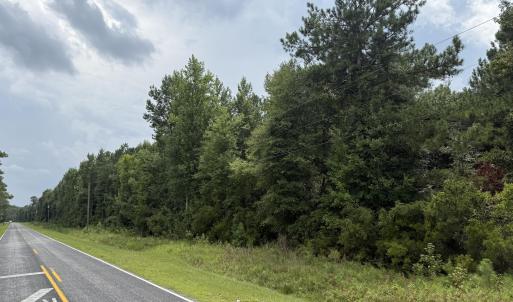 Photo #18 of Old Sandhill, Edward, NC 153.0 acres